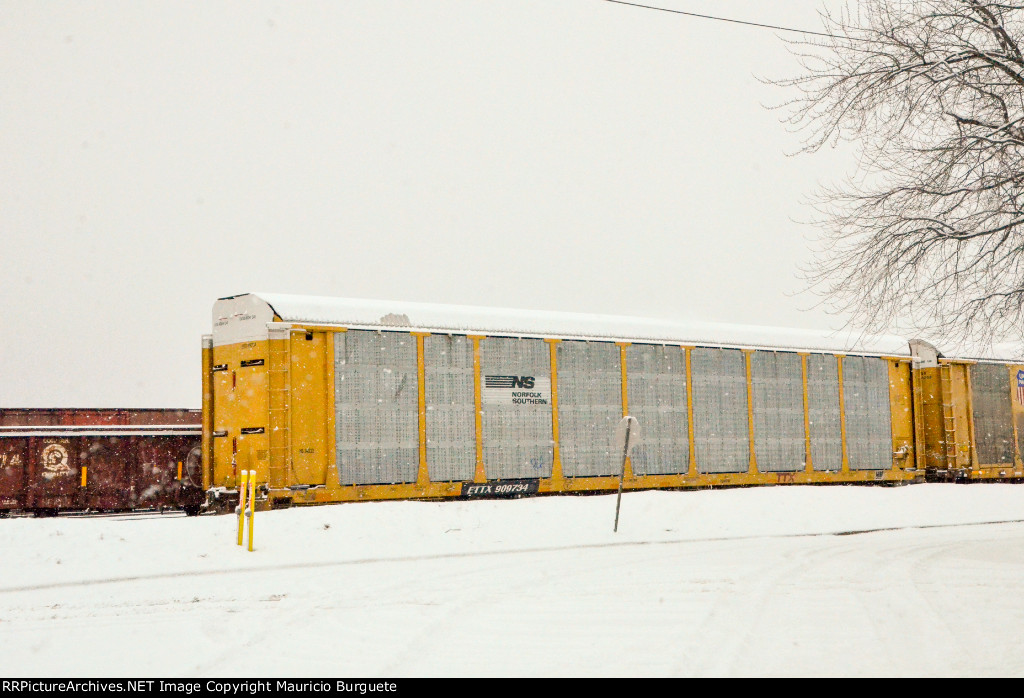 ETTX NS Autorack on winter